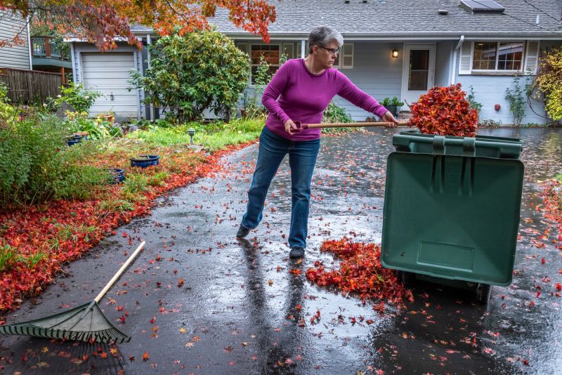 Seasonal Cleanup