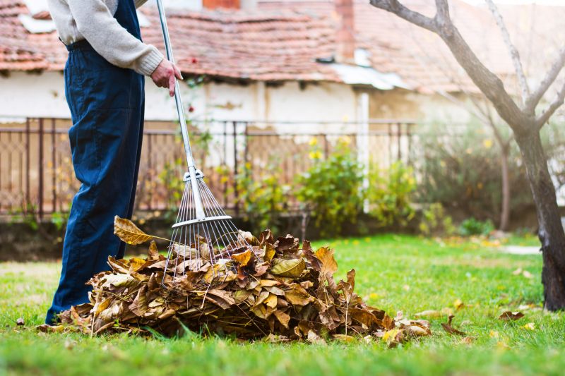 Leaf Raking and Collection