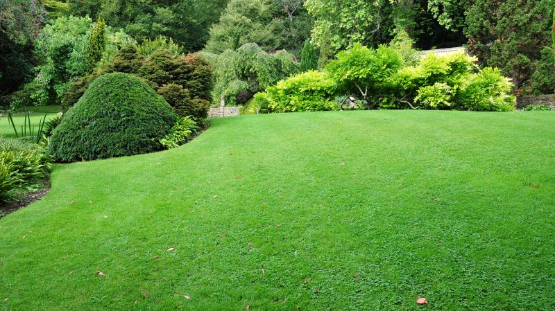 Office Landscaping Design in Ventura County, CA