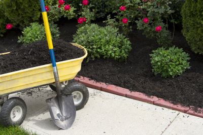 Improve Curb Appeal with Mulch Spreading